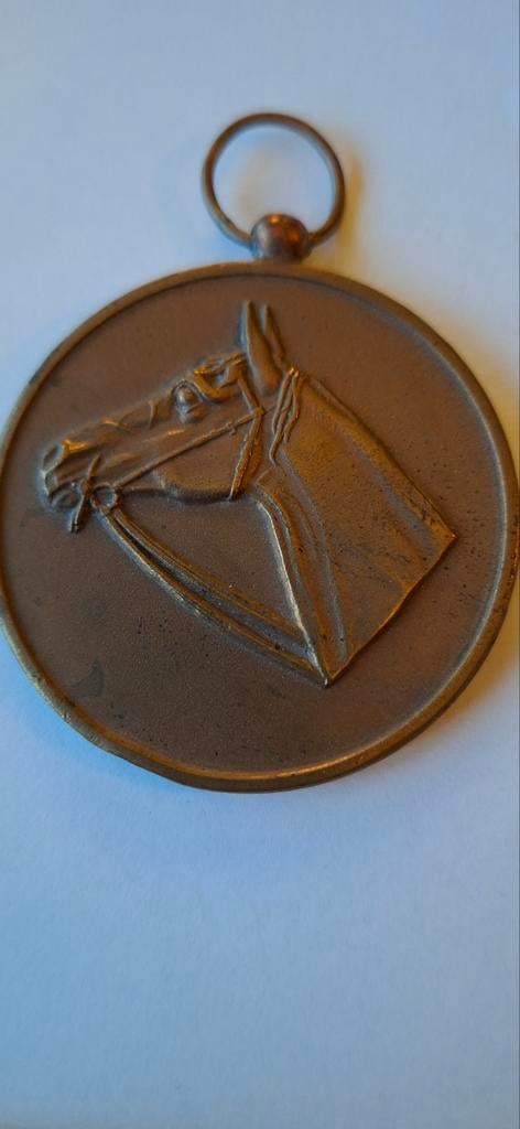 Medaille paard brons, Ophalen of Verzenden, Brons