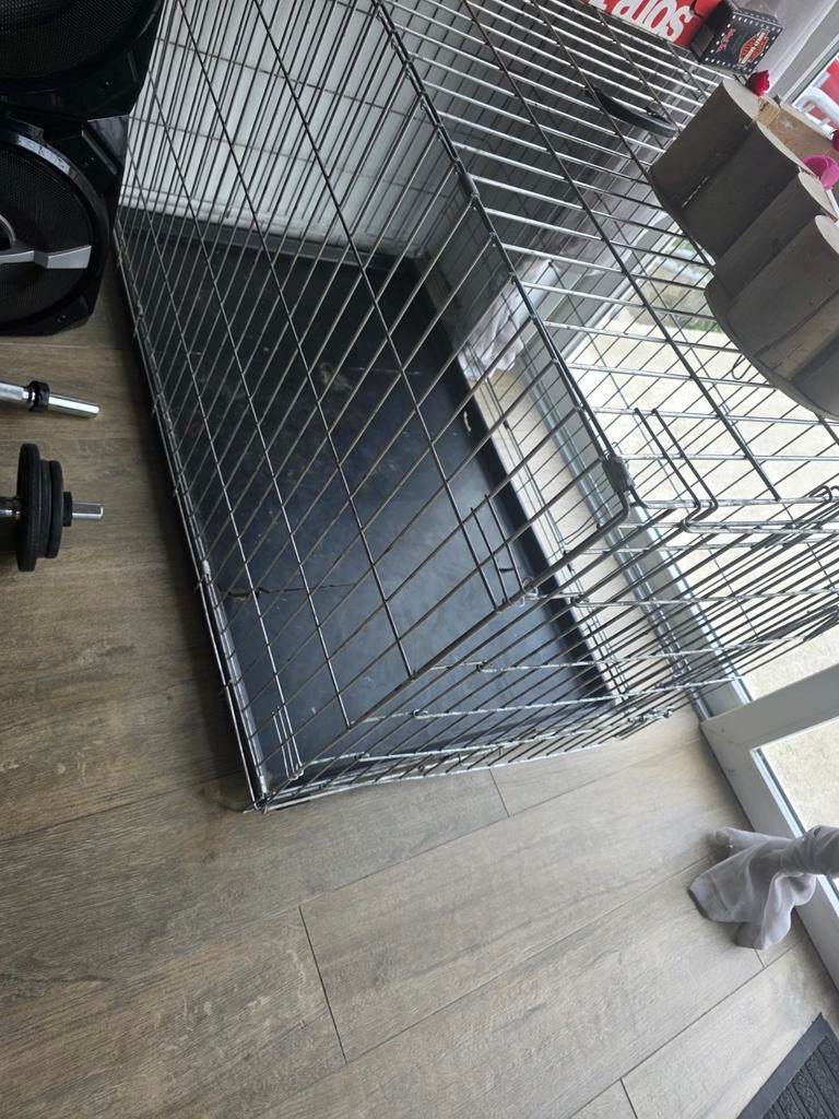 Grande cage chien