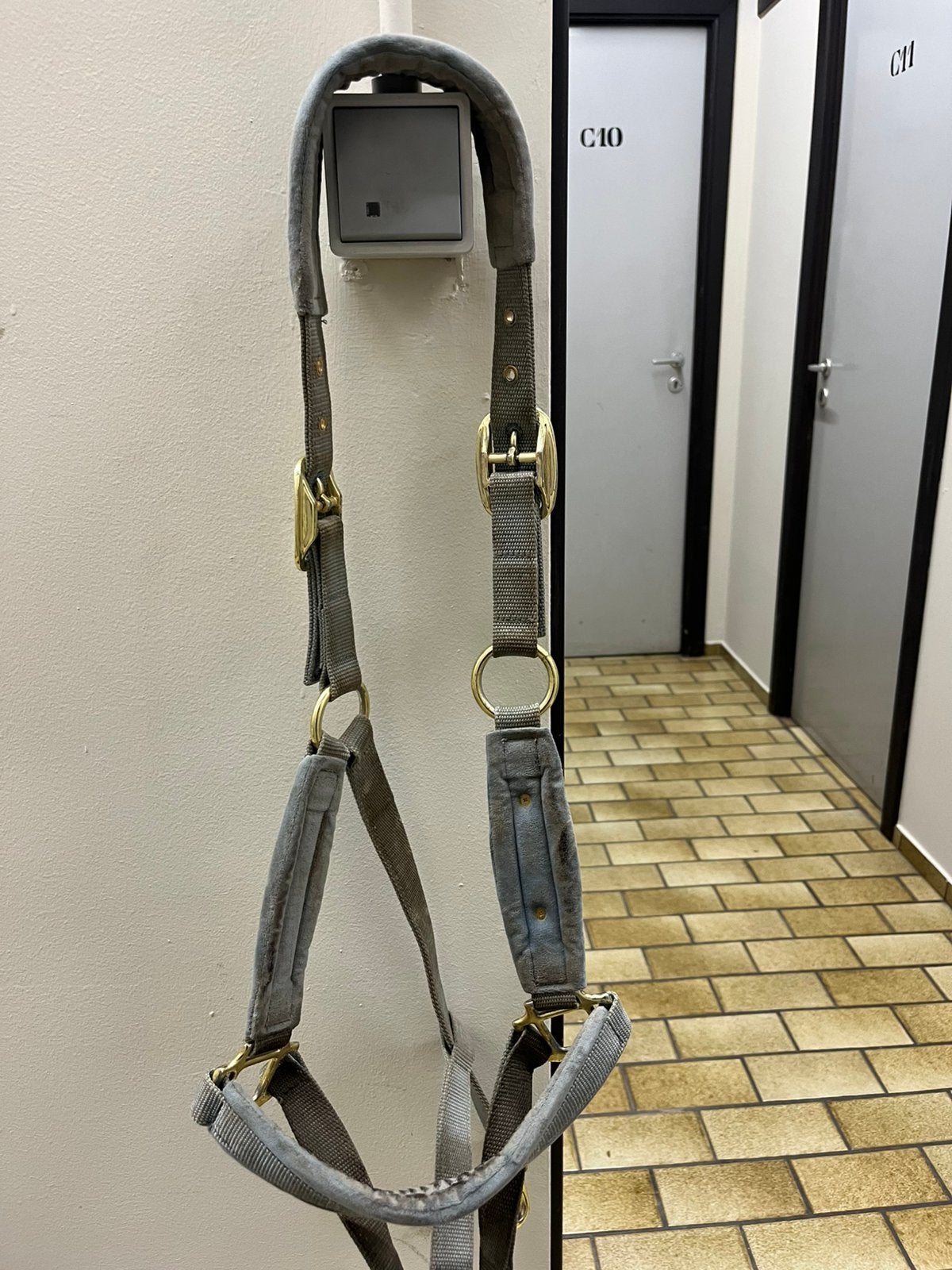 Kentucky halster te koop, Enlèvement ou Envoi, Comme neuf