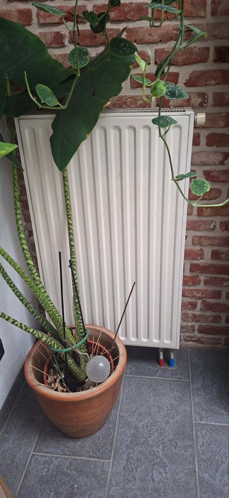 40 € zeker bespreekbaar , radiateur H 1m ,B 60cm ,, Enlèvement, 60 à 150 cm, Radiateur, 80 cm ou plus