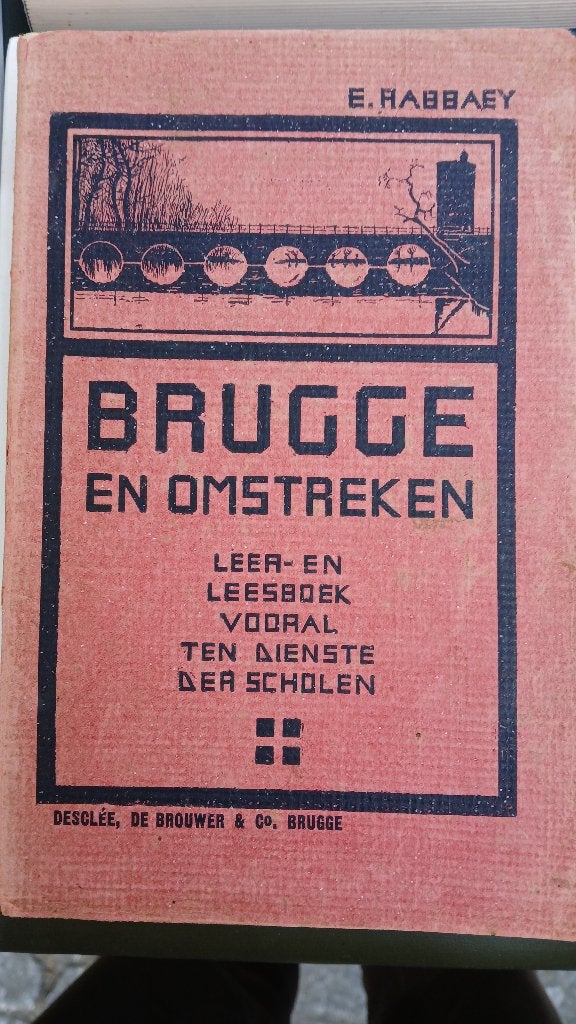 Boek Brugge en omstreken, Enlèvement ou Envoi, Utilisé