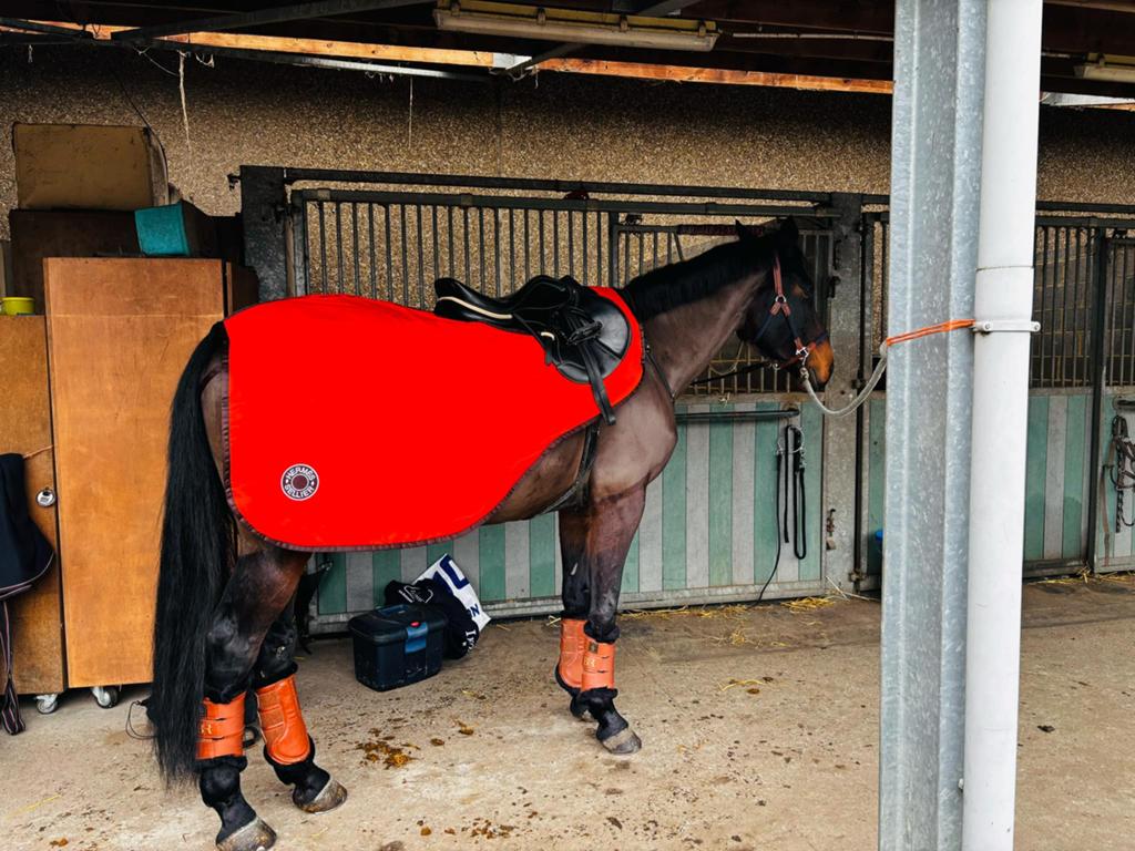 Couvre rein cheval hermes, Animaux & Accessoires, Enlèvement