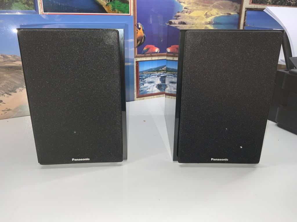 PAAR LUIDSPREKERS PANASONIC MODELSB-PMX9 IN ZEER GOEDE STAAT, Audio, Tv en Foto, Luidsprekerboxen, Ophalen, Zo goed als nieuw