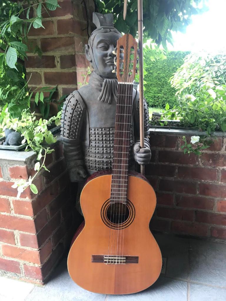 Guitare, Enlèvement, Utilisé, Guitare classique ou espagnole