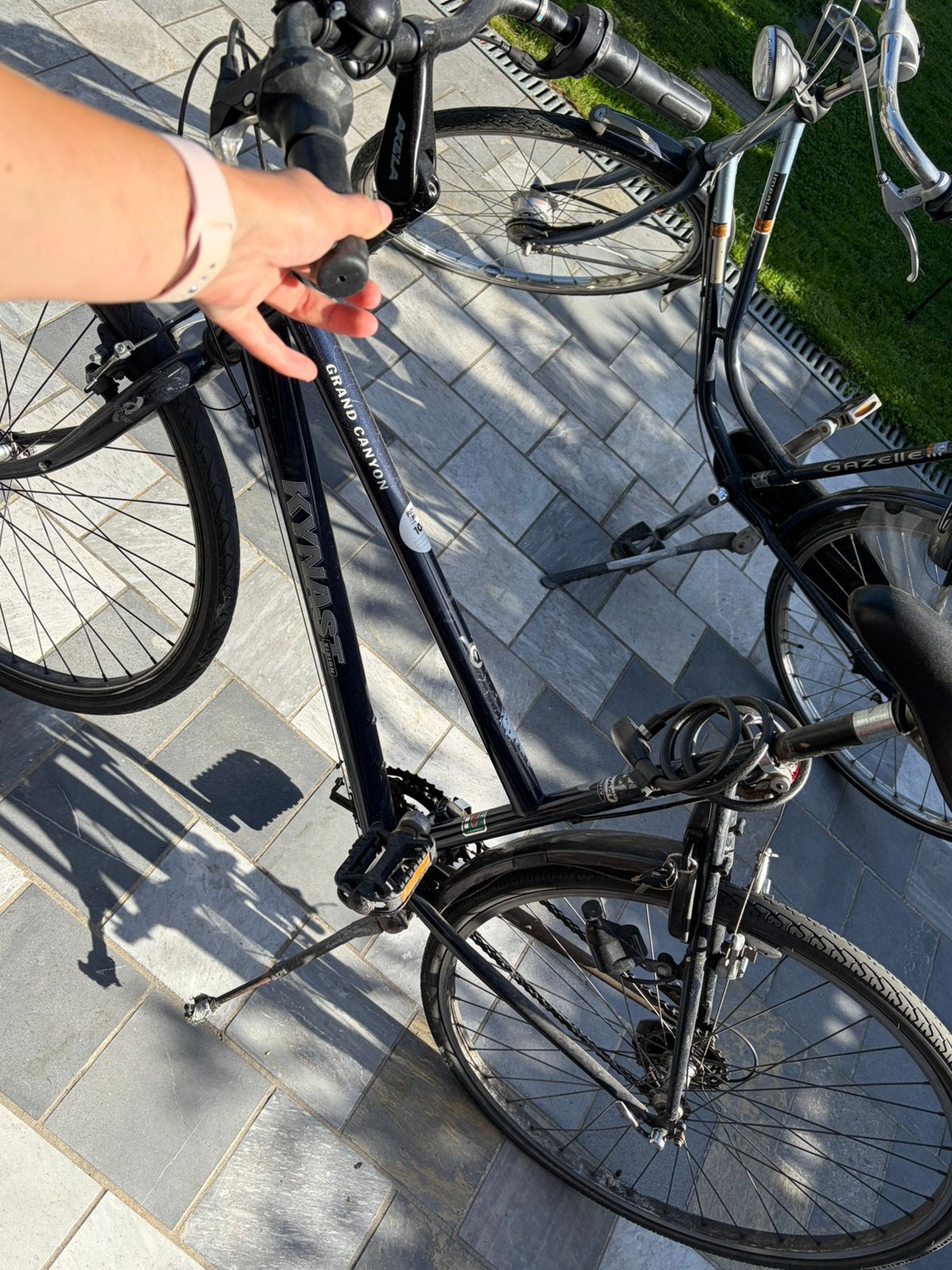 Damesfiets, Fietsen en Brommers, Ophalen, Gebruikt, 53 tot 57 cm