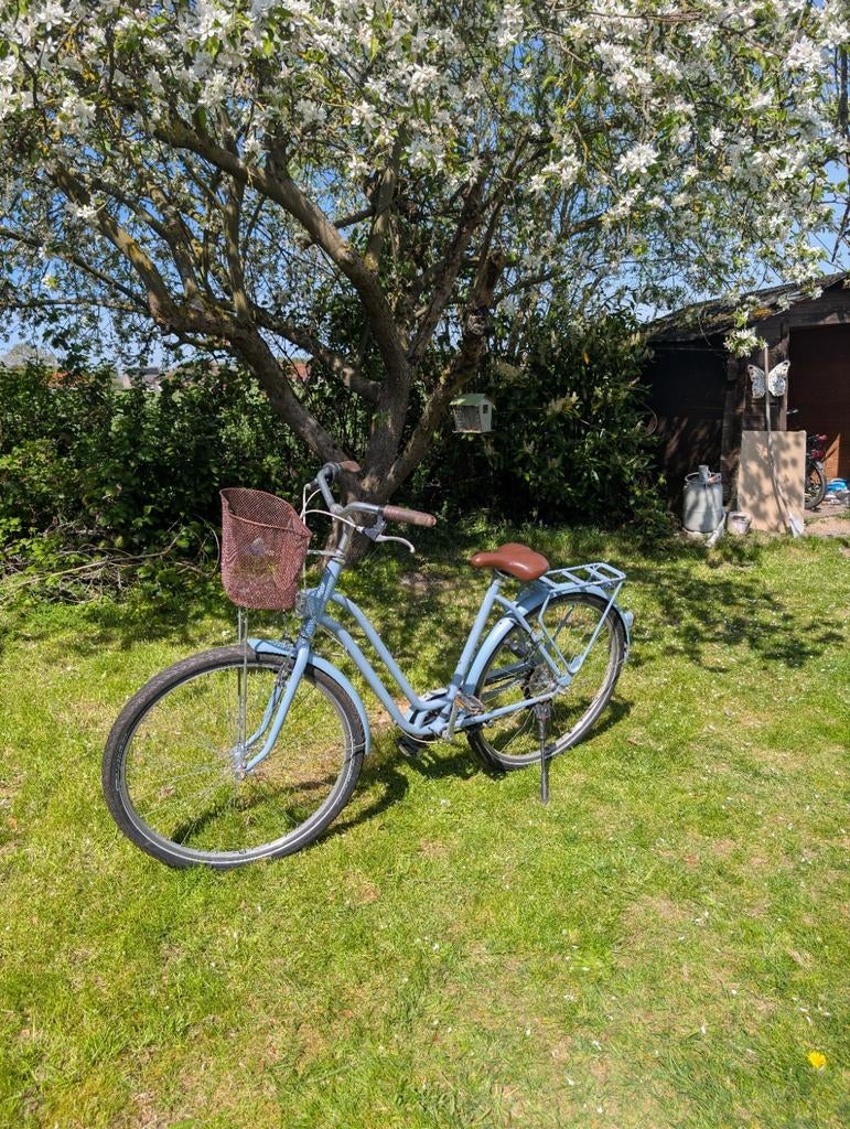 Fiest dames, Fietsen en Brommers, Ophalen, Zo goed als nieuw, DEcathlon