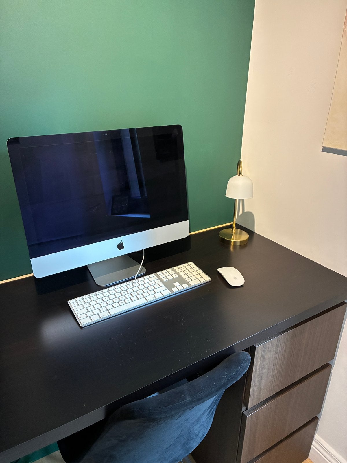 Apple iMac 21,5"2013–i5-8GB 1TB+Apple toetsenbord&MagicMouse, Computers en Software, Apple Desktops, Ophalen, Zo goed als nieuw
