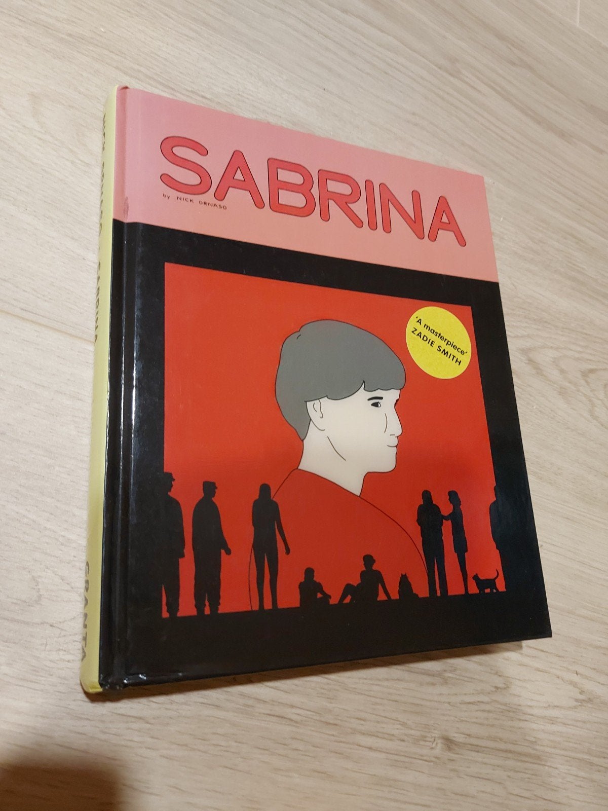 Graphic novel: Sabrina, Boeken, Ophalen of Verzenden, Zo goed als nieuw