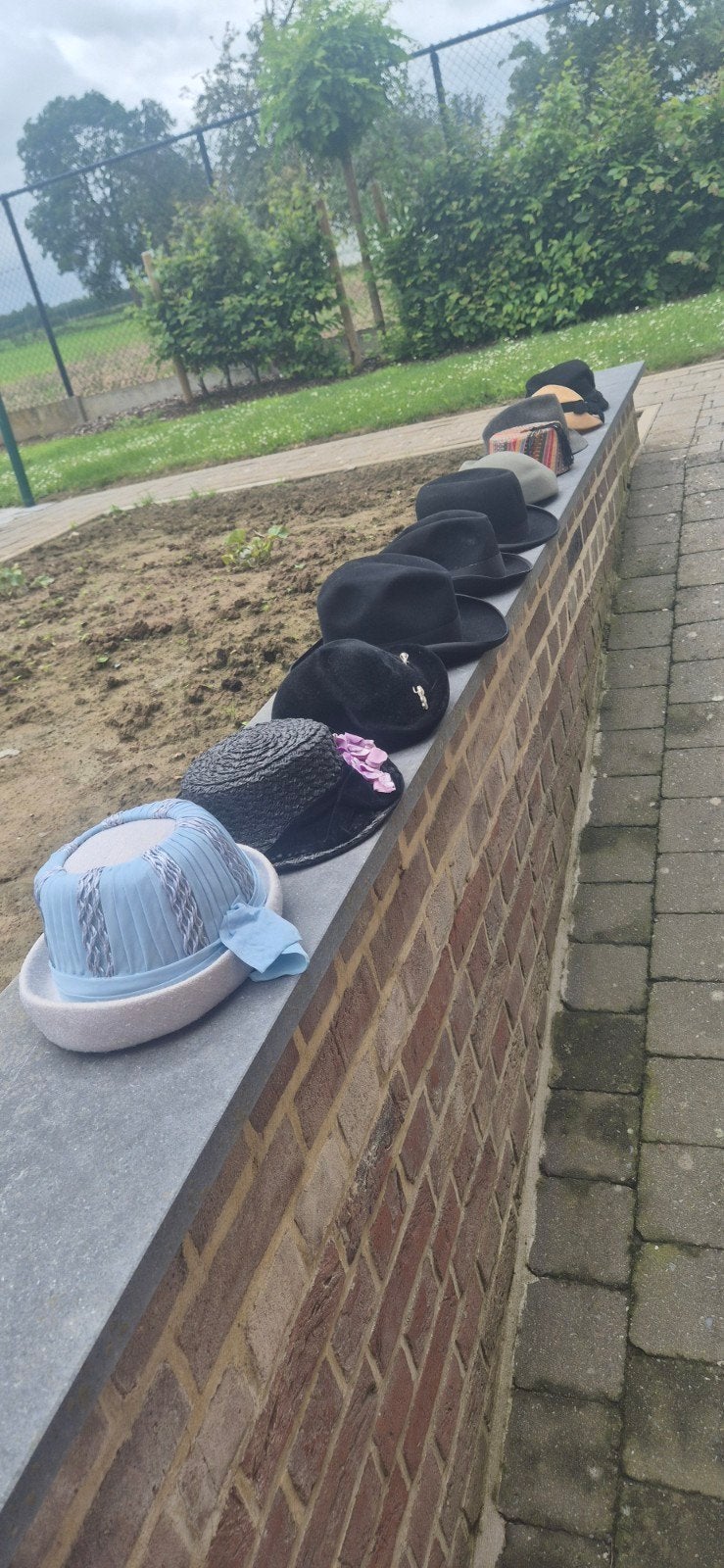 Bolhoed en andere hoeden, Ophalen of Verzenden