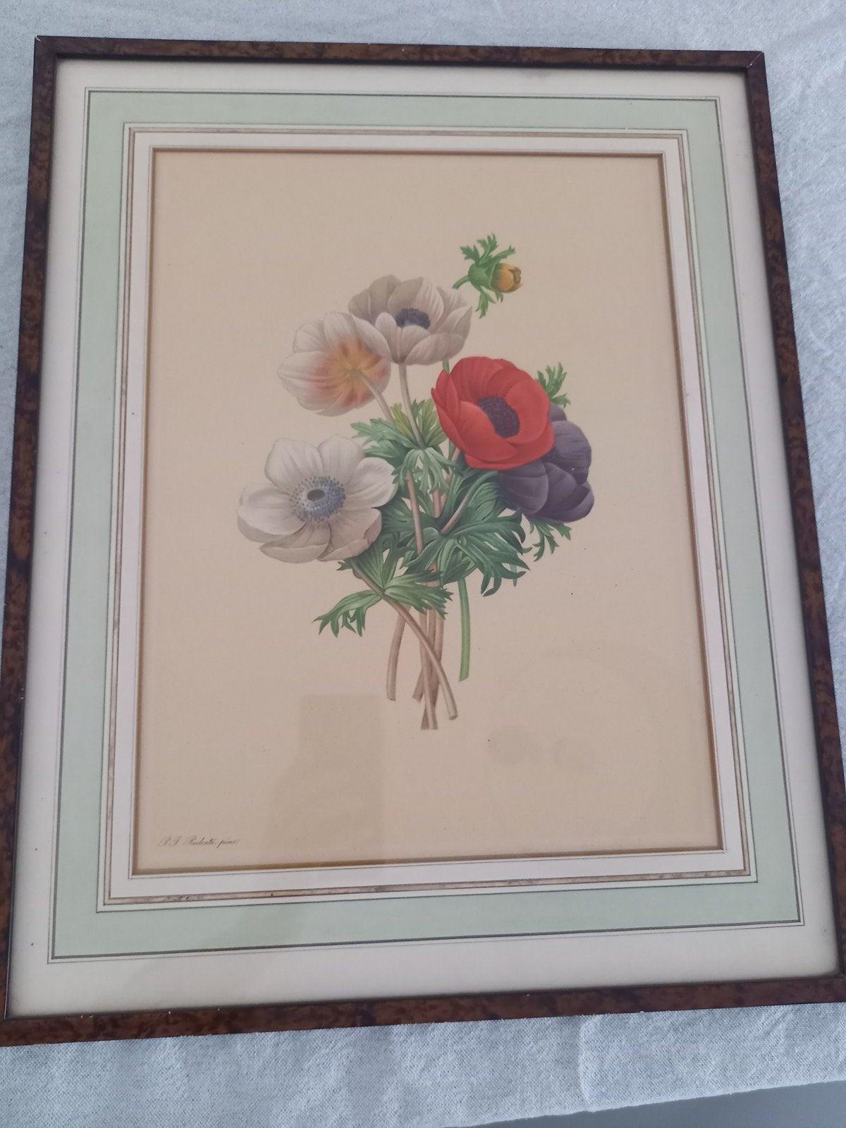 Prachtige ingelijste botanische prent "Anemone Simple" – P.J, Enlèvement ou Envoi, Beige