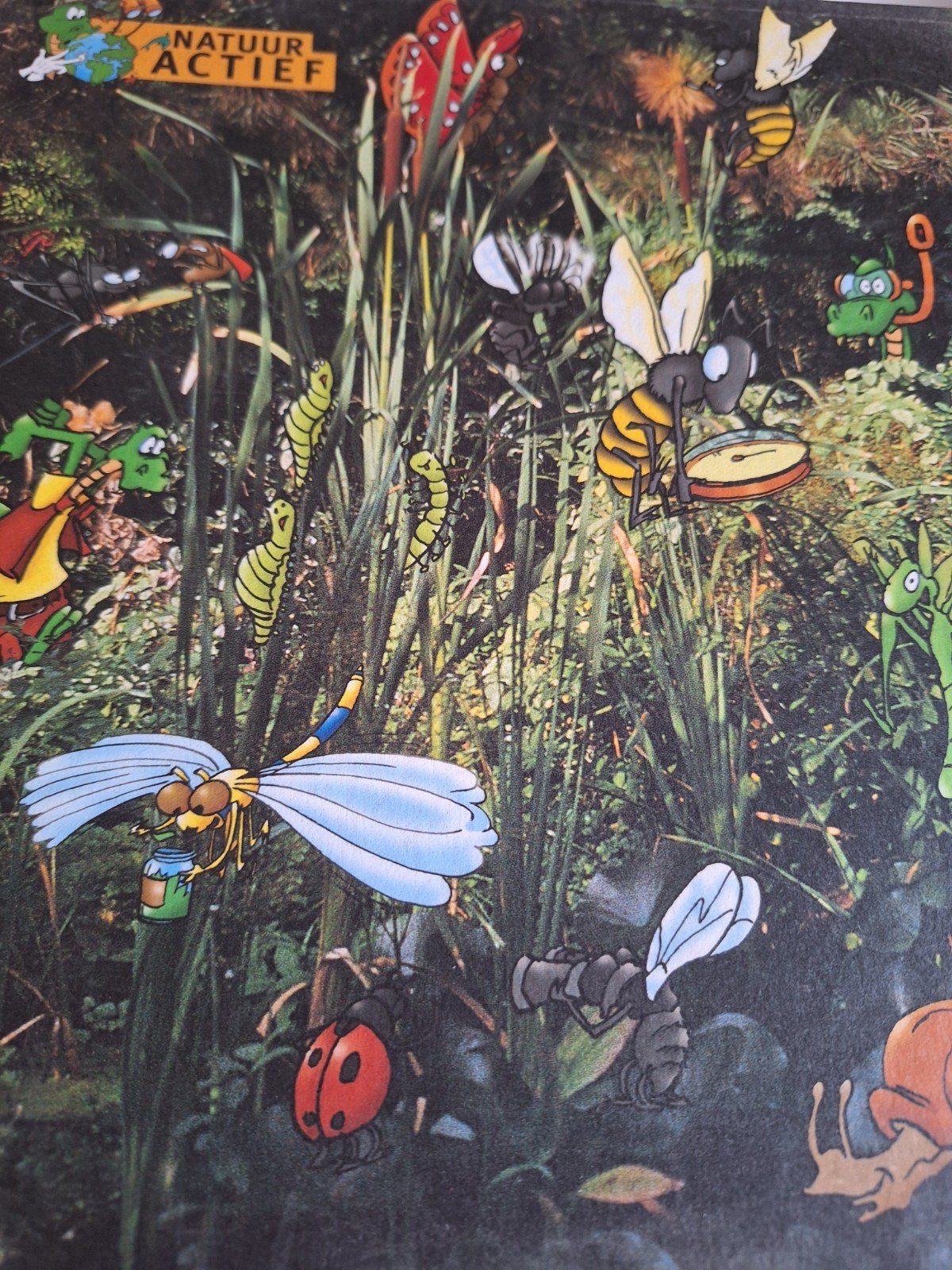 Natuur actief junior in handige opbergmap, Boeken, Natuur, Ophalen