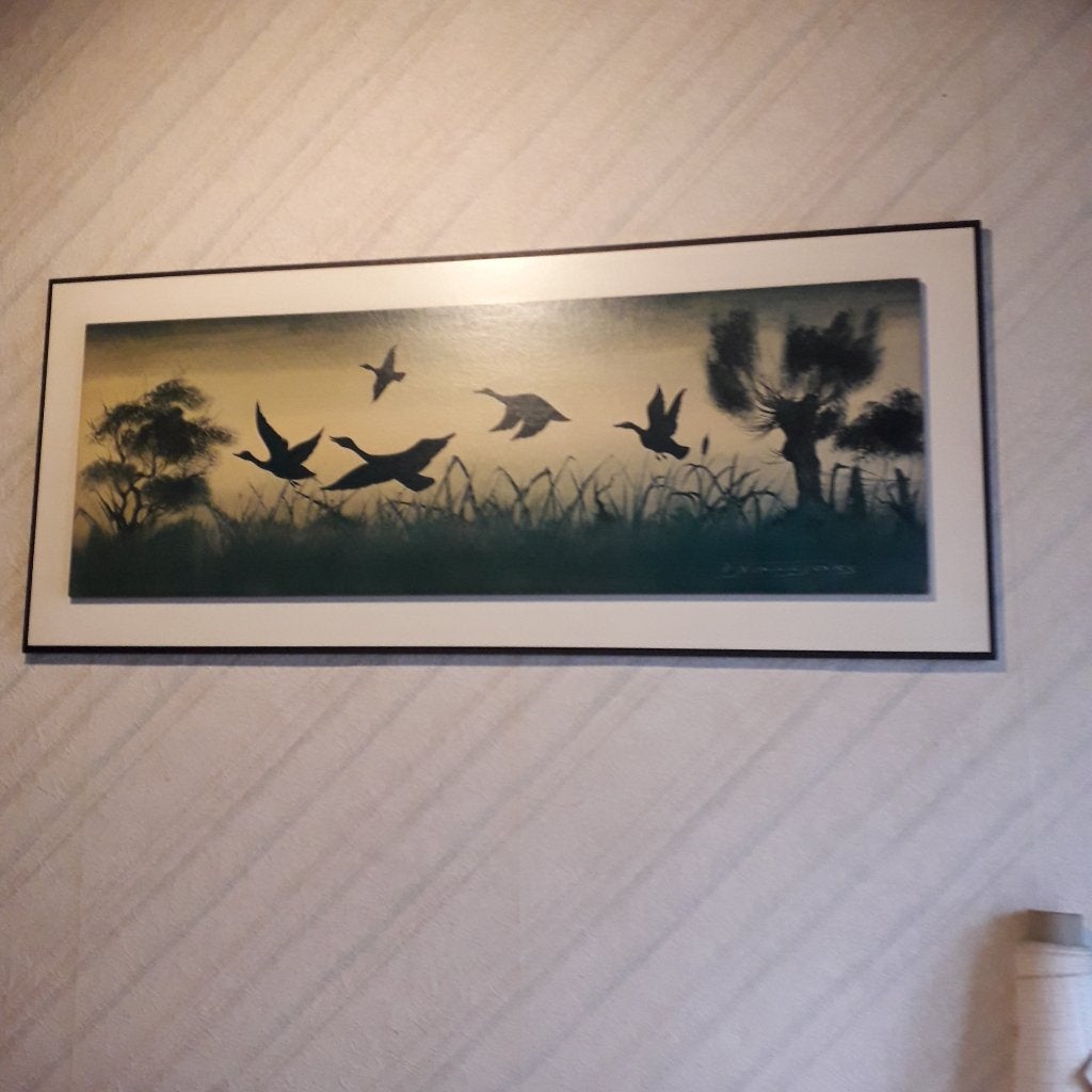 kader met vogels, Ophalen, 100 tot 125 cm, Print, 5 – 50