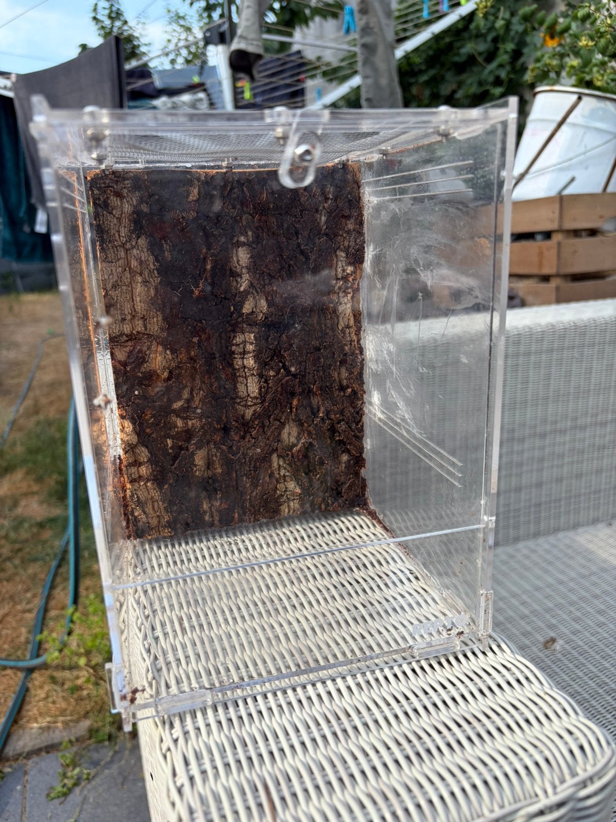 Terrarium plastic, Dieren en Toebehoren, Ophalen, Zo goed als nieuw