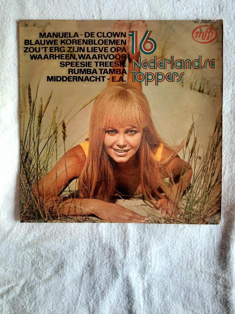 16 Nederlandse Toppers, CD & DVD, Vinyles | Autres Vinyles, Utilisé, Enlèvement