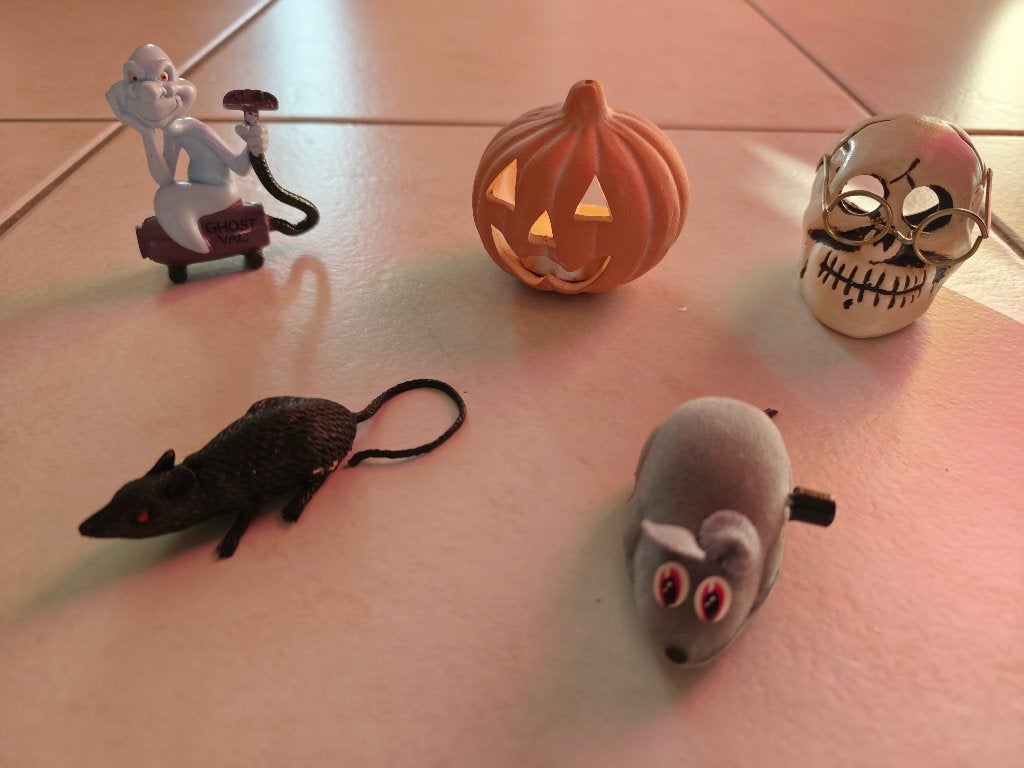 Halloween : Décorations diverses, Enlèvement, Comme neuf