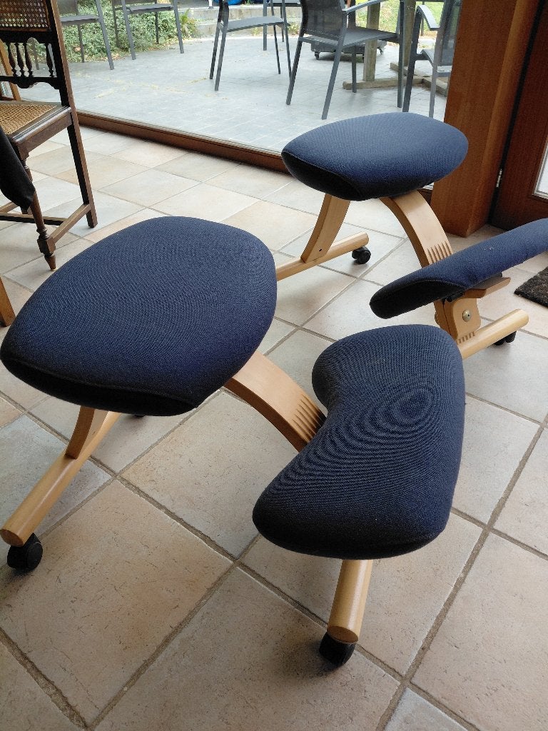 Bureaustoel Rybo Balance (3 stuks), Maison & Meubles, Chaises de bureau, Utilisé, Chaise de bureau, Bleu, Ergonomique, Enlèvement