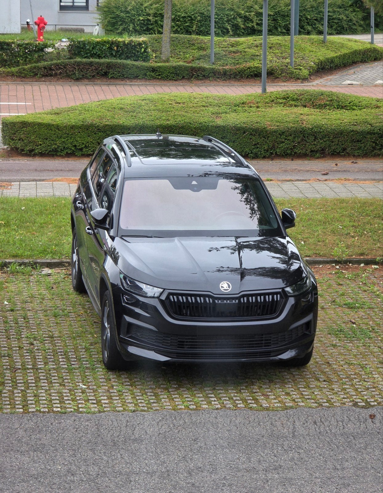 Skoda kodiaq sportline, Autos, Skoda, Cuir, Achat, 7 places, Carnet d'entretien