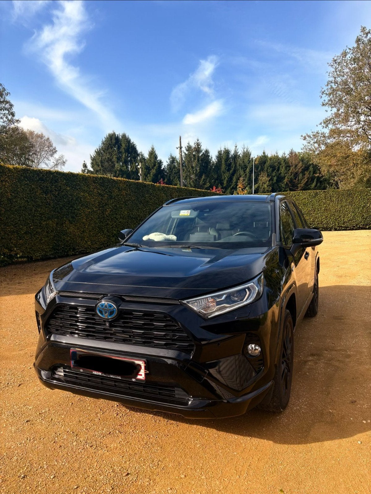 toyota rav 4, Auto's, Trekhaak, Leder, Particulier, Rav4