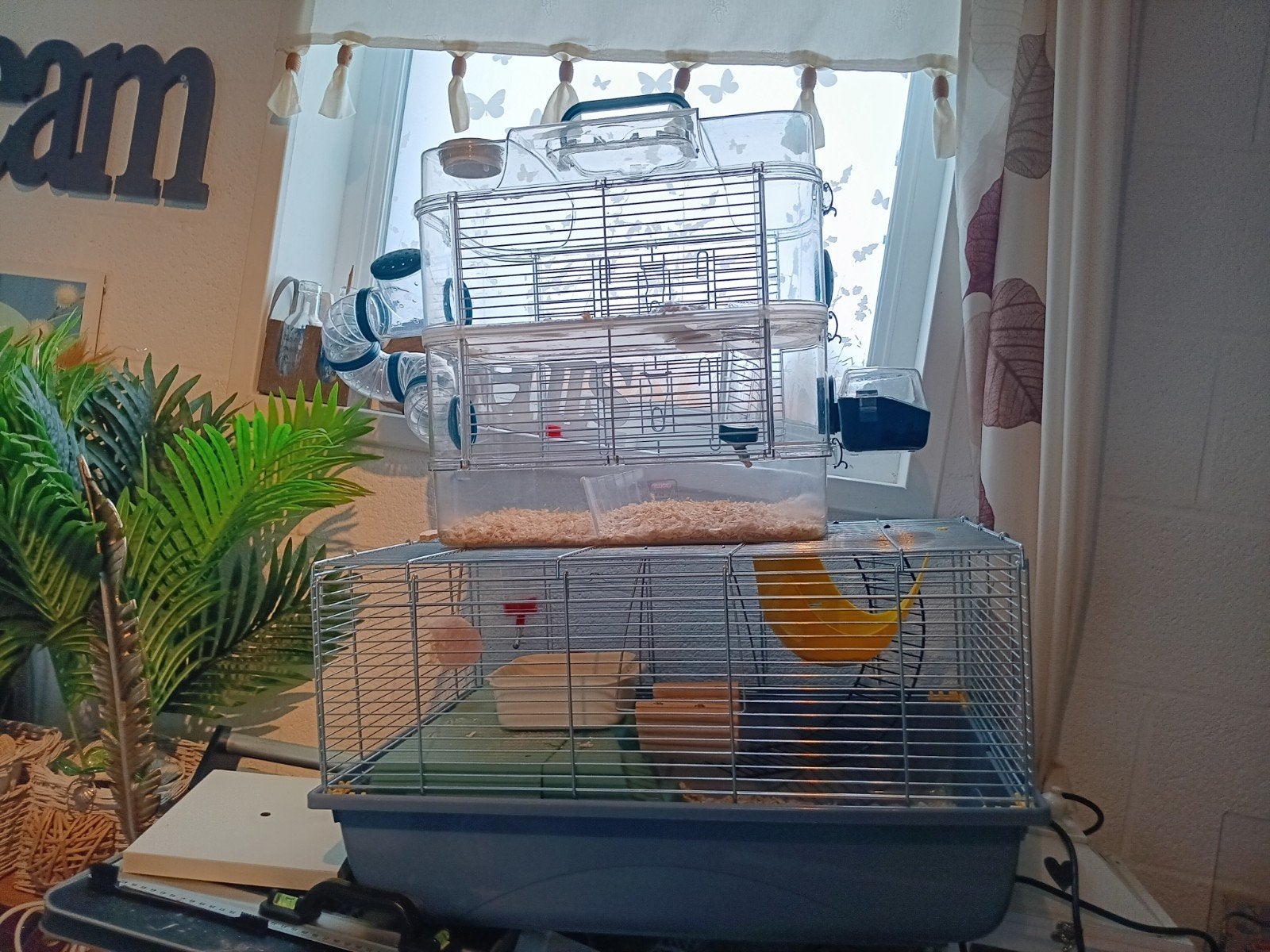 2 hamsterkooien volledig ingericht, Dieren en Toebehoren, Knaagdieren en Konijnen | Toebehoren, Ophalen