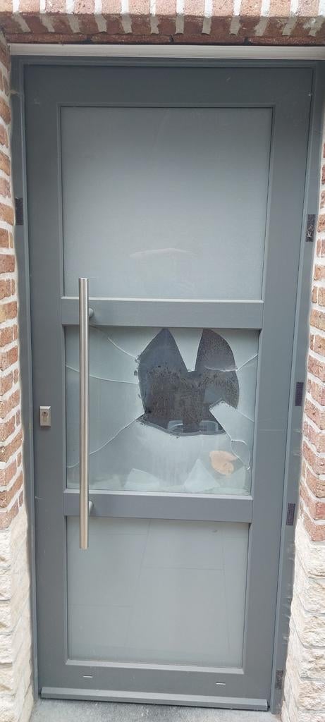 PVC Deur 80x192, Doe-het-zelf en Bouw, Deuren en Vliegenramen, Ophalen, Glas
