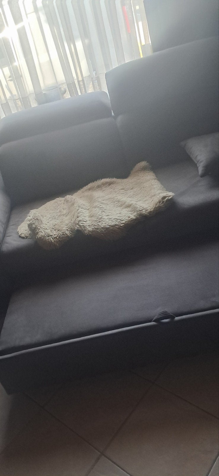 Zetel, Ophalen, Grijs
