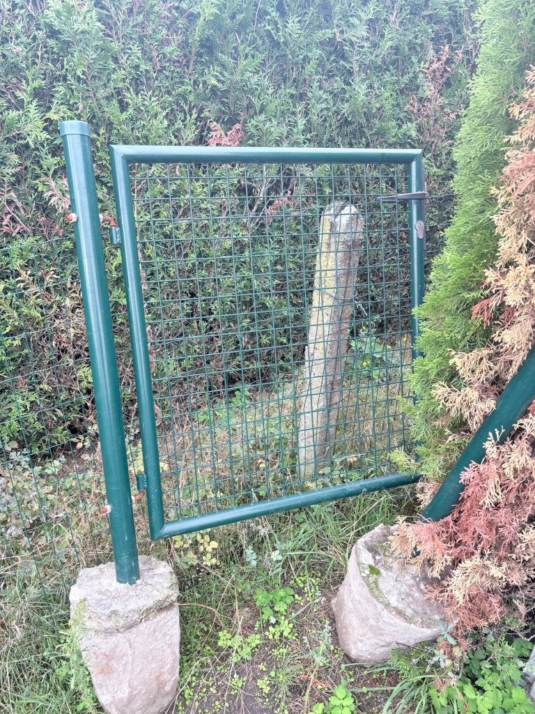 Tuinpoort groen met metalen gaaspaneel, Tuin en Terras, Ophalen, Gebruikt