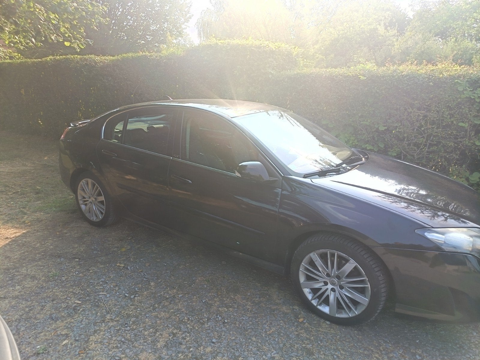 laguna gt 4control, Autos, 4 cylindres, Brun, GT, 2000 cm³