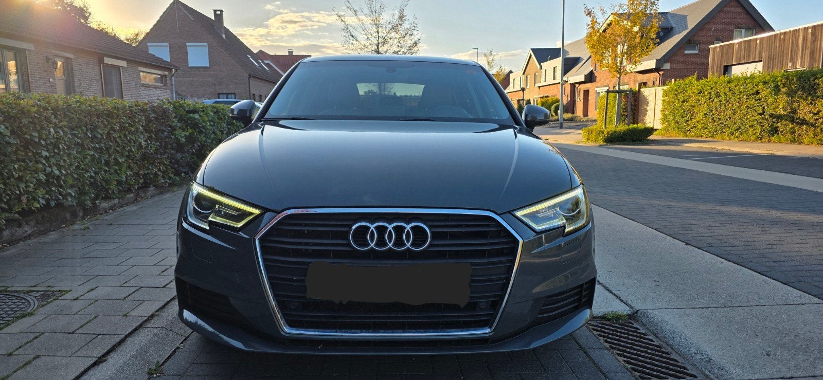 Audi A3 Sportback 2017 / 1.0i / Veel opties, Auto's, https://public.car-pass.be/vhr/b698c44f-27fa-48f5-8f13-af3df6fb9fc8, Euro 6