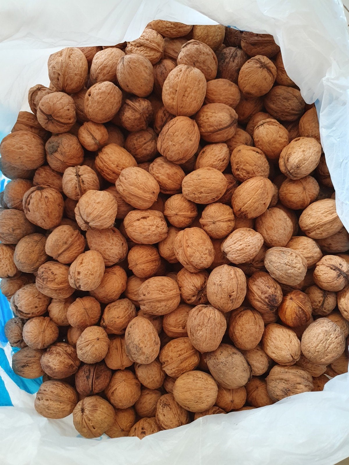 8 kg Noix, Enlèvement