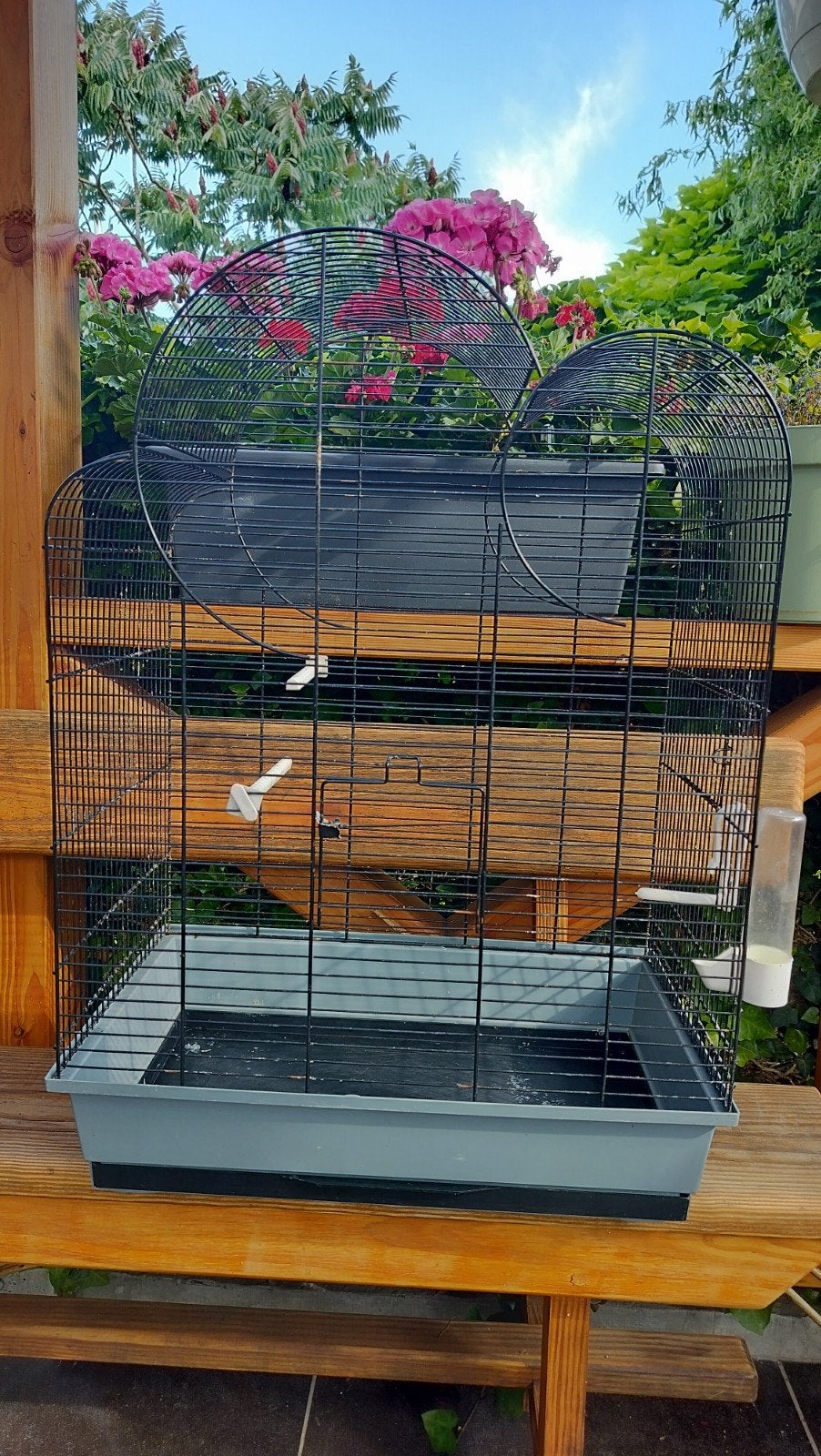 Vogelkooi 50  35  75 cm – in goede staat, Dieren en Toebehoren, Ophalen