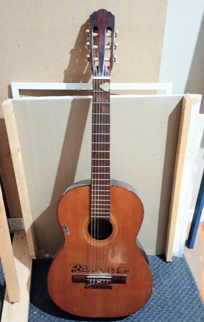 Guitare acoustique Ariana, Enlèvement