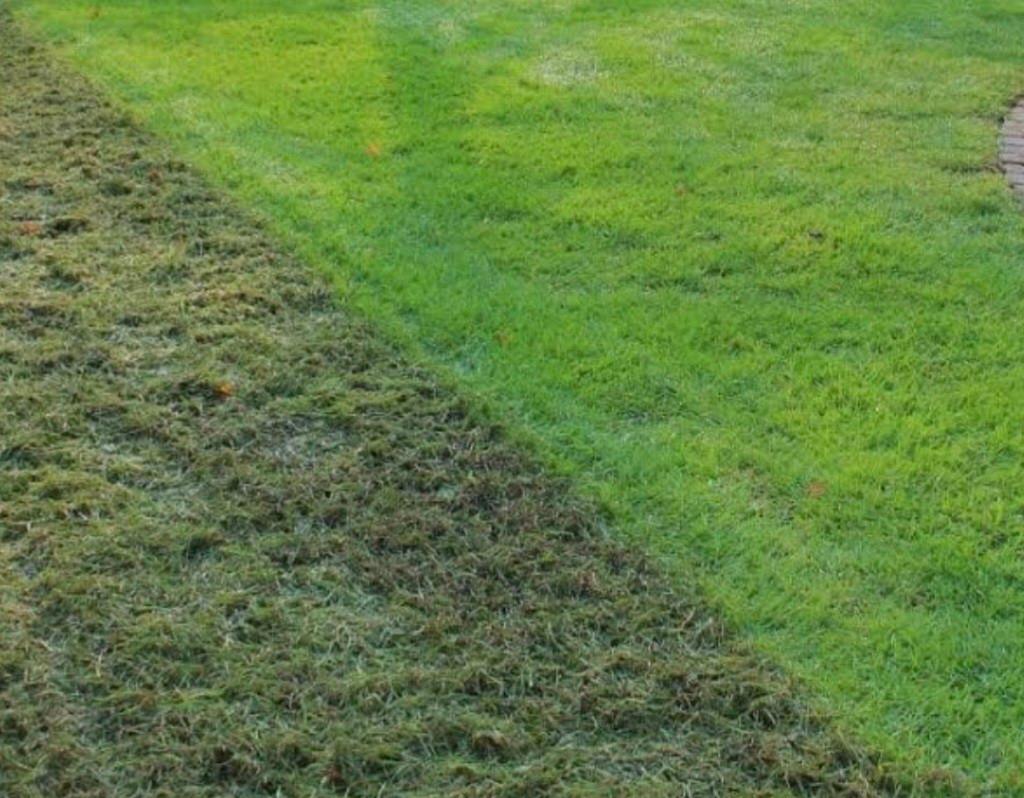 Verticuteren Afvoeren en bemesten, Jardin & Terrasse, Gazon & Gazon artificiel, Enlèvement