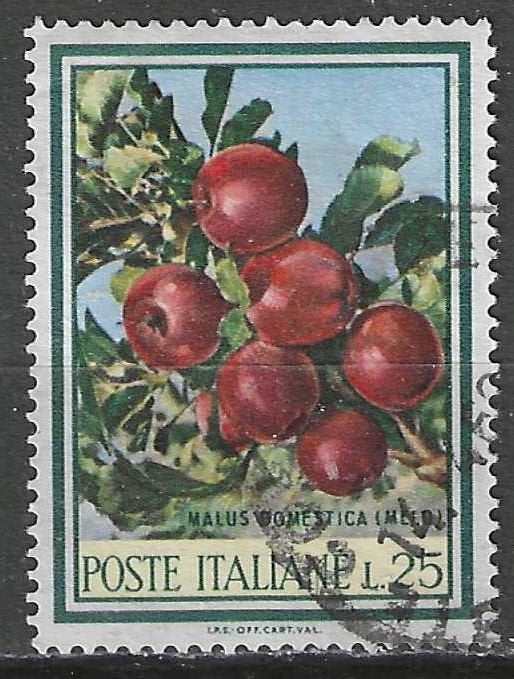 Italie 1967 - Yvert 989 - Fruits et fleurs - Pommes (ST), Envoi, Affranchi