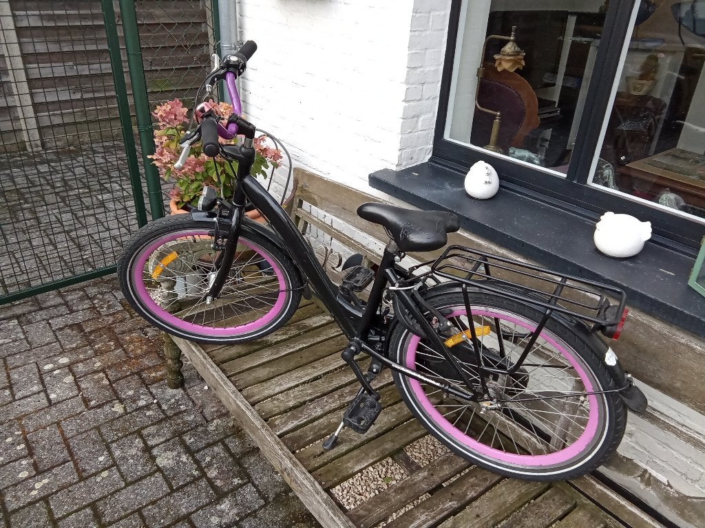 Kinderfiets 22 inch (meisjes) merk Alpina met versnellingen, Fietsen en Brommers, Ophalen, 20 inch of meer, Velgrem, Alpina