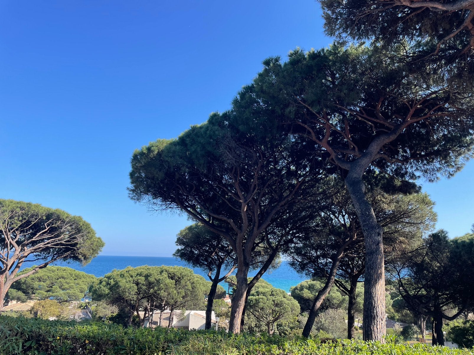 Appartement Sainte-Maxime Cote d'Azur, 5 personen, Provence en Côte d'Azur, Eigenaar, Aan zee