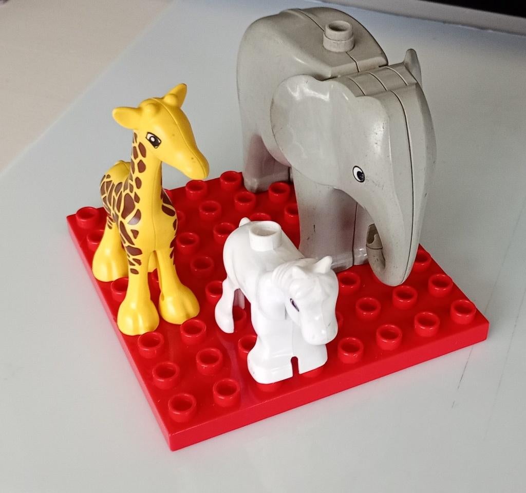 duplo dieren, Ophalen, Gebruikt, Losse stenen, Duplo