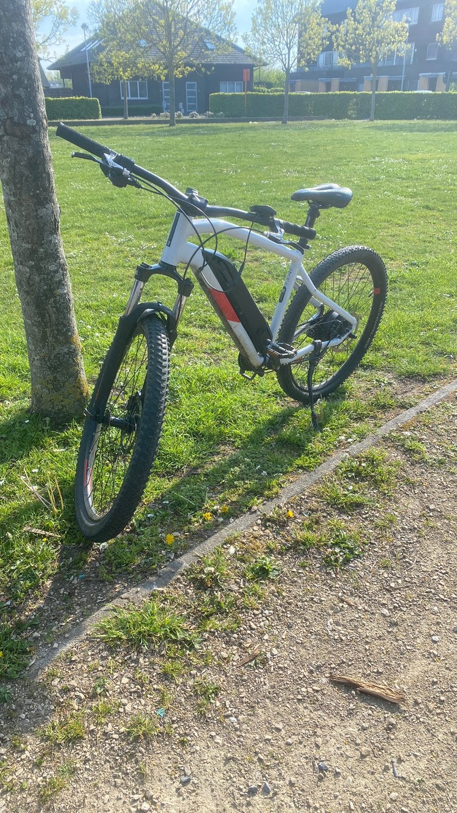Elektrische fiets, Fietsen en Brommers, Gebruikt, 57 cm of meer, Hardtail, Heren
