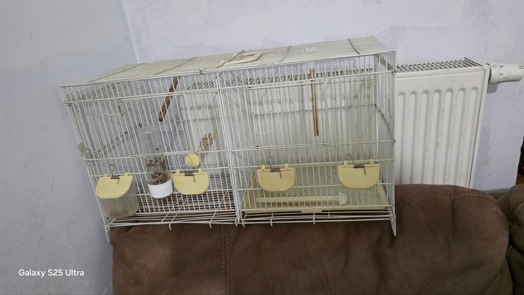 Bruxelles, Animaux & Accessoires, Enlèvement, Utilisé, Cage à oiseaux