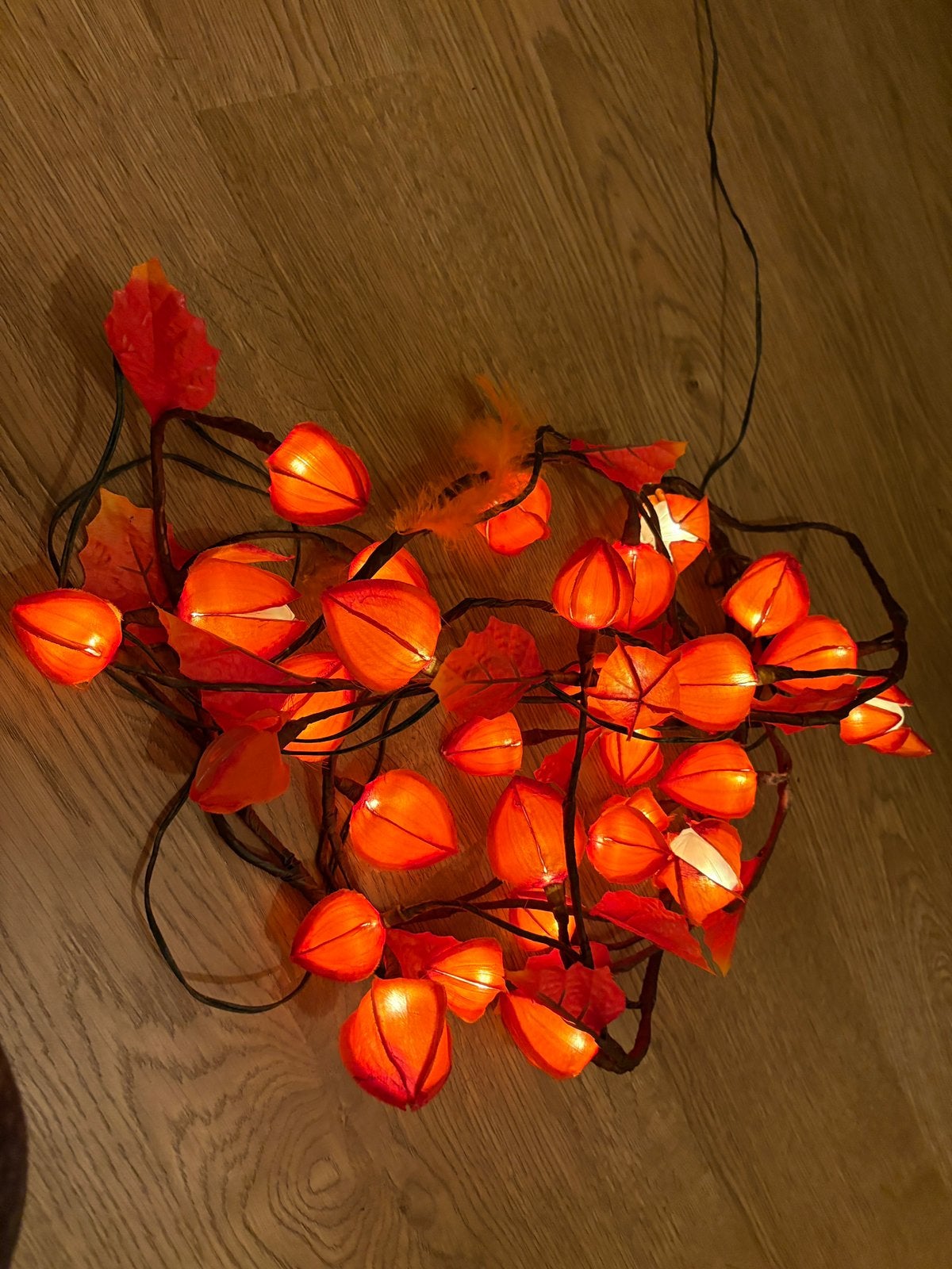Lumières de décoration automne/Halloween, Maison & Meubles, Enlèvement, Comme neuf