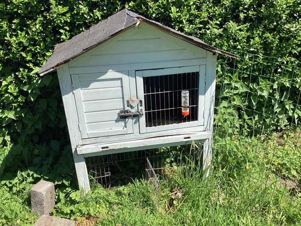 Cage pour lapin, Animaux & Accessoires, Enlèvement, Comme neuf
