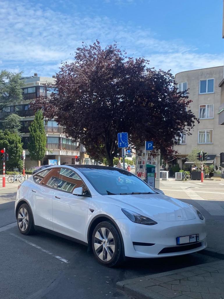 Tesla Model Y RWD (met LFP-batterij) — mei 2023, Automaat, Achterwielaandrijving, Wit, 5 deurs