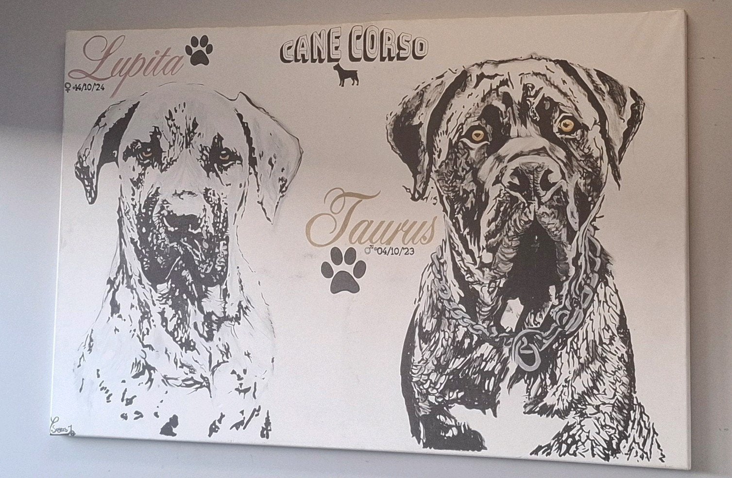 Acryl canvas & wallpaintings unique and personal designs, Antiek en Kunst, Ophalen of Verzenden