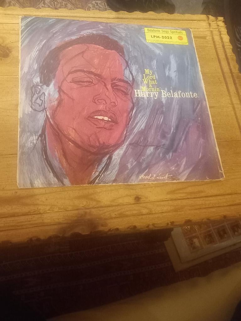 6 Lp's van Harry Belafonte, Ophalen of Verzenden, Gebruikt, Overige formaten