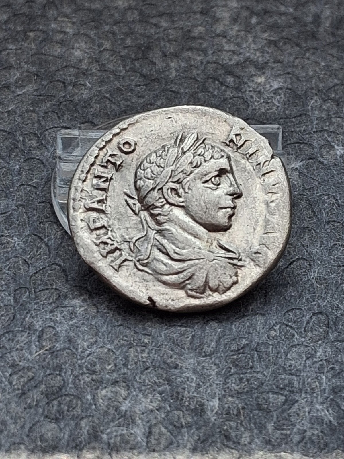 denarius elagalabus, Ophalen of Verzenden