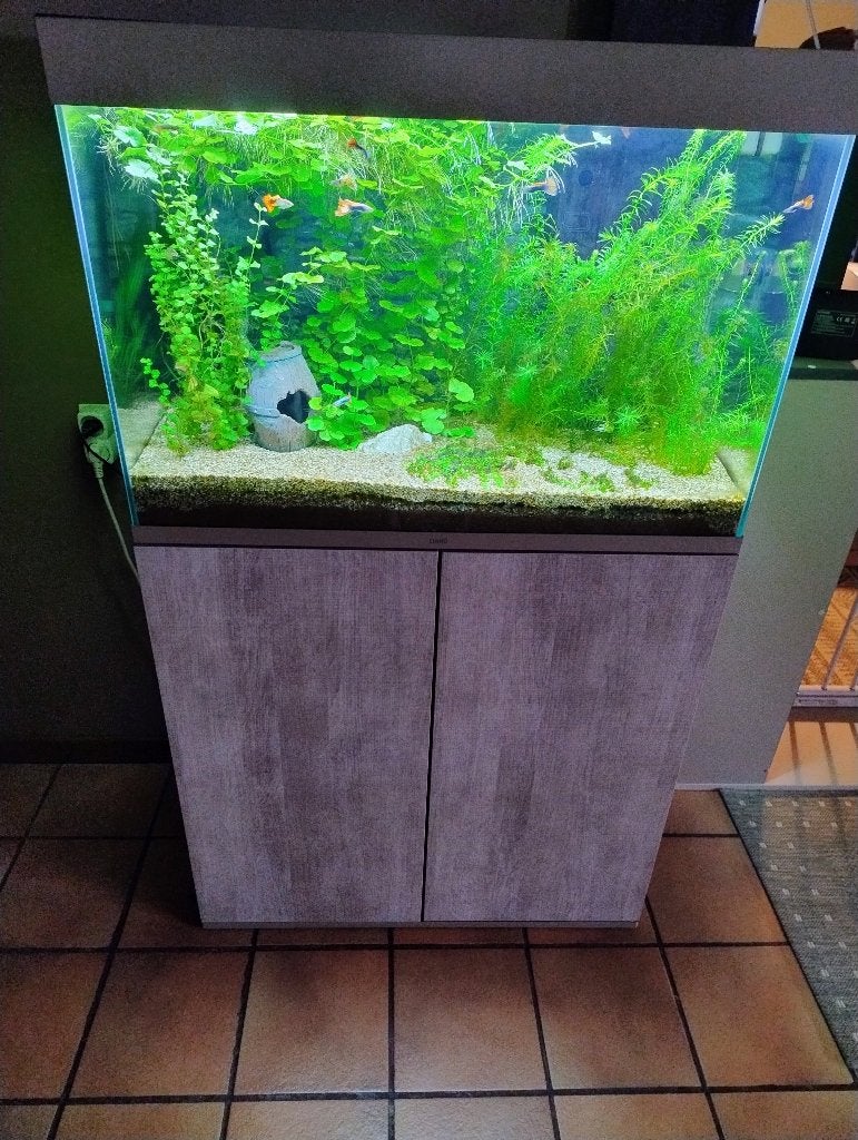 Aquarium en toebehoren, Enlèvement, Pompe, Comme neuf