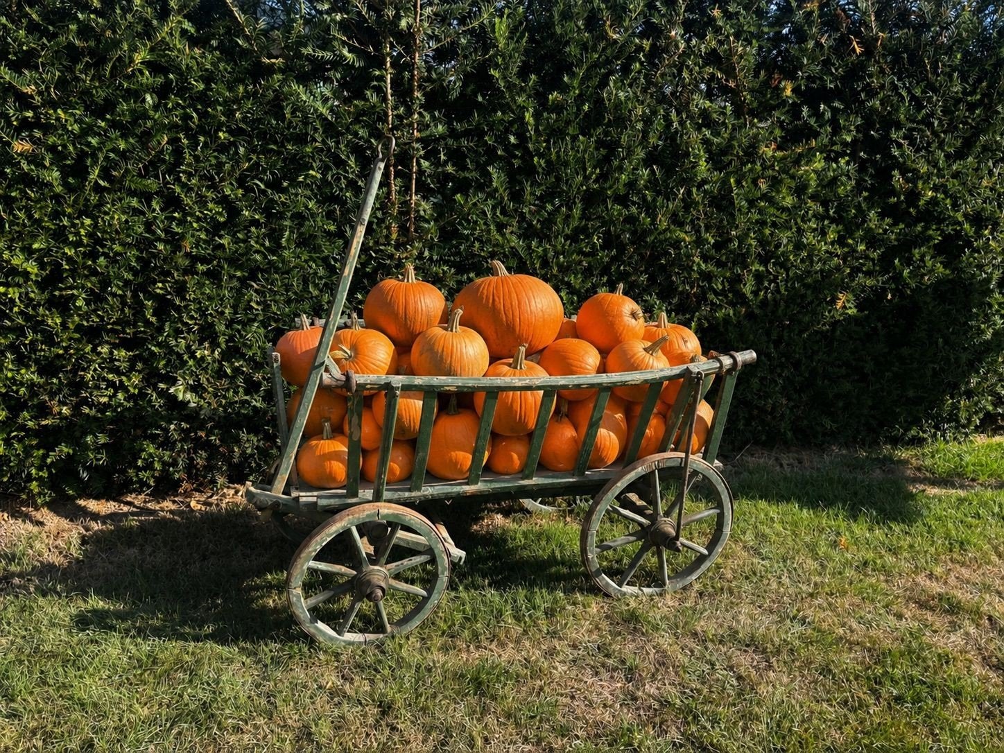 oude bolderkar, houten kar, trekkar., Ophalen