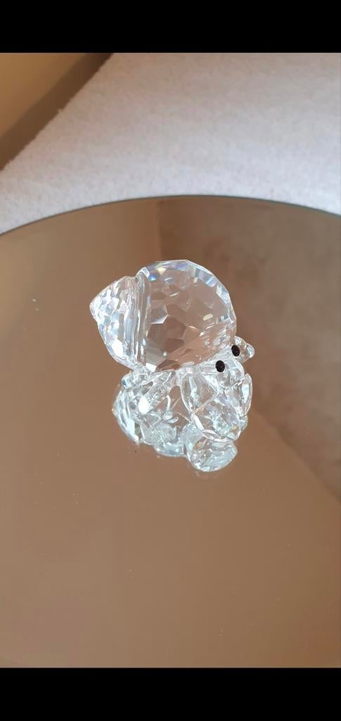 Heremietkreeft, Verzamelen, Swarovski, Ophalen