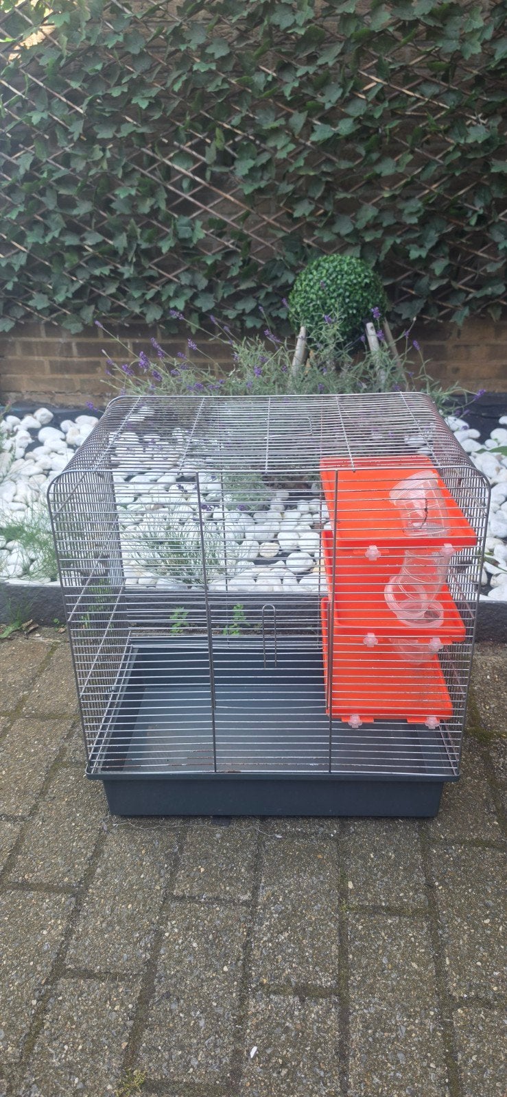 Hamster of Volgel kooi, Ophalen, Kooi, Hamster
