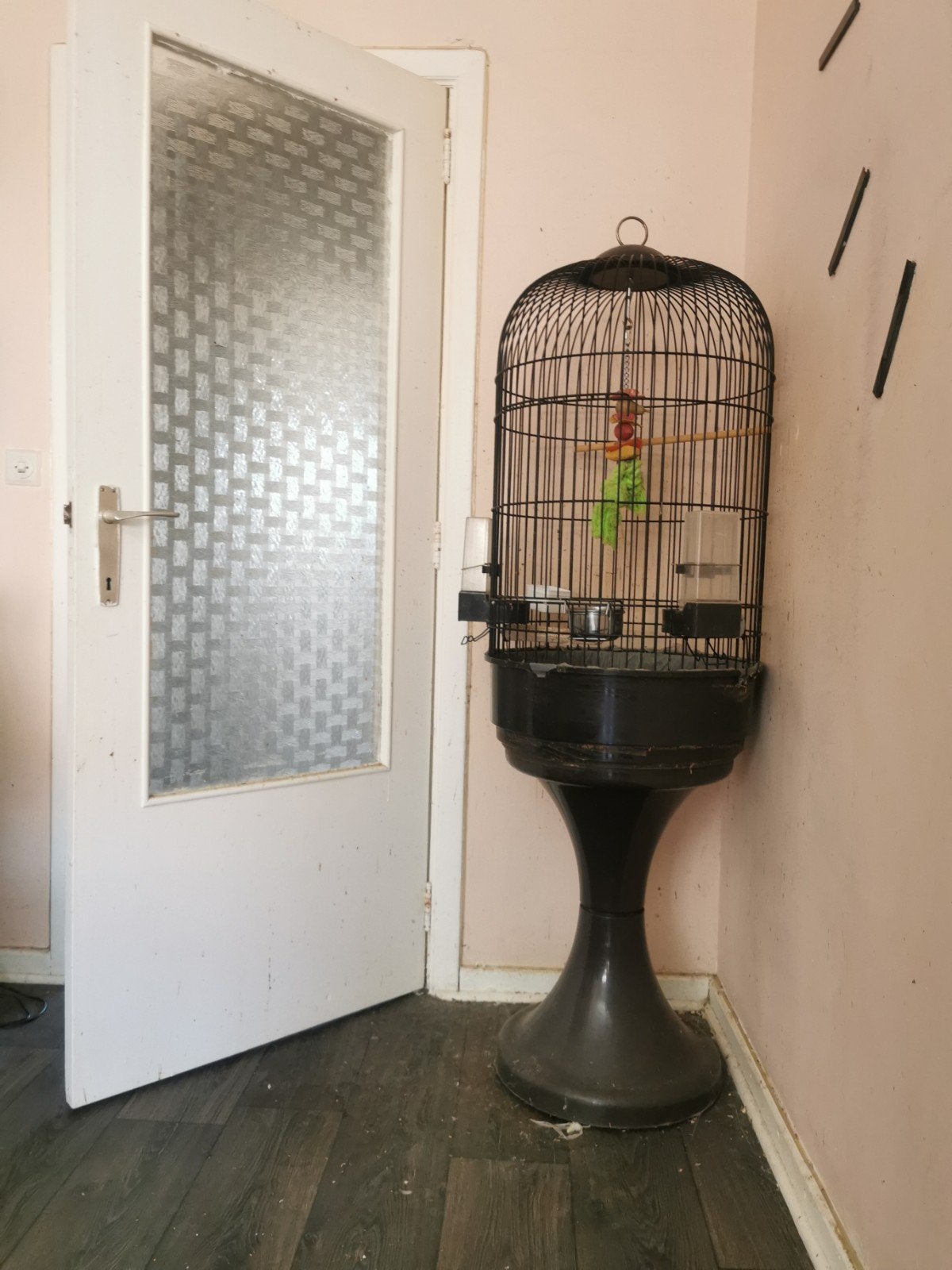Kooi, Enlèvement ou Envoi