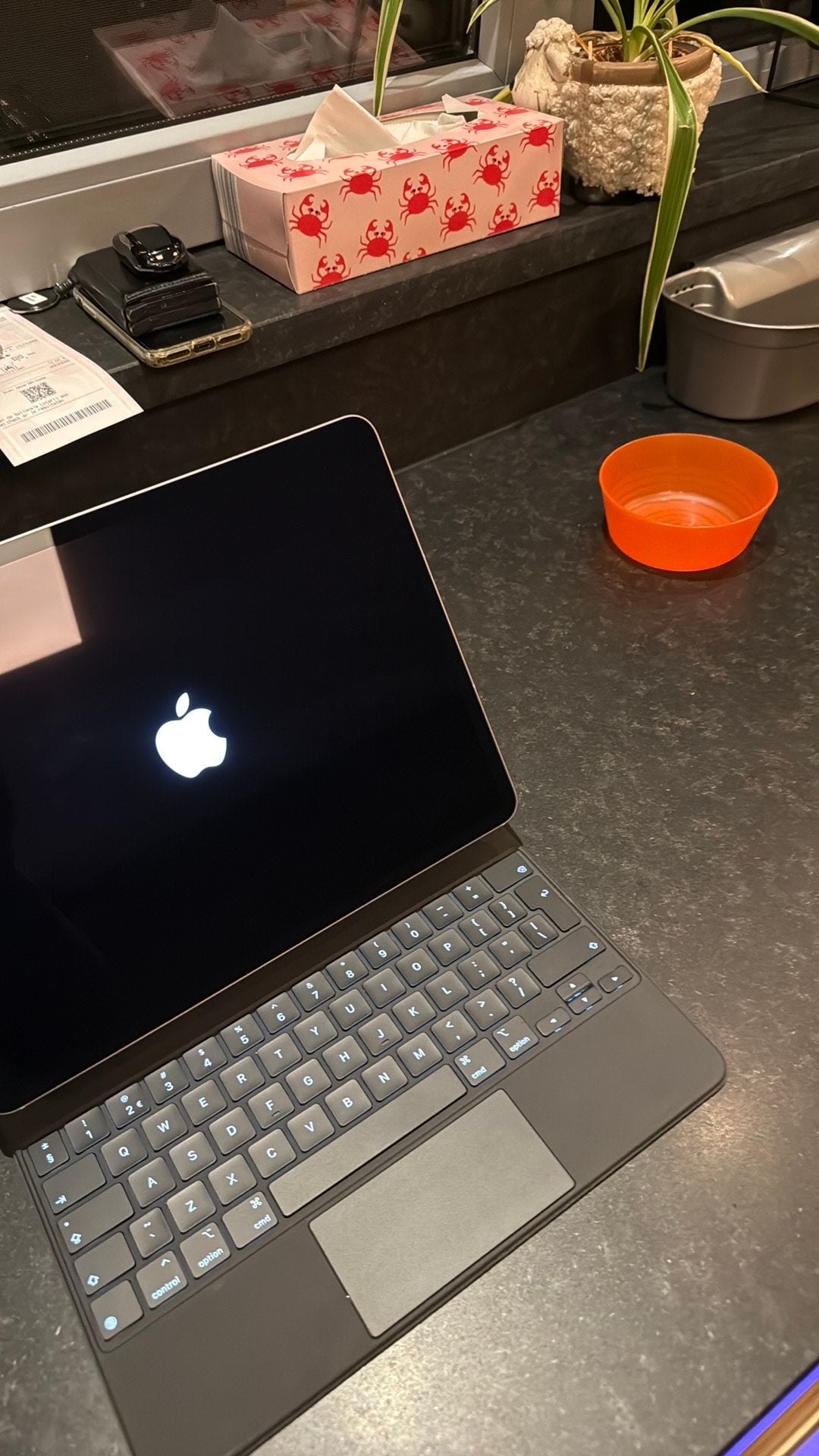 iPad Pro 13” M2, 512Gb, wifi + 5G, Ophalen, Zo goed als nieuw, Apple iPad